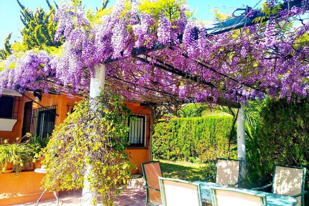 Villa Torrenueva Малага Екстериор снимка